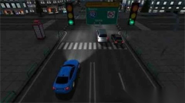 模拟拉力赛车截图1