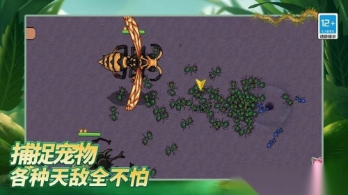 岛上我最溜安卓版截图1