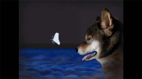 翌日波奇狗的历险记游戏截图1