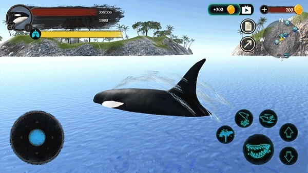 虎鲸模拟器免费截图1