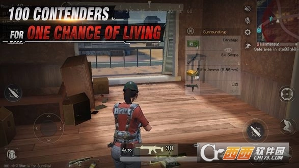 Survivor Royale截图1