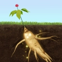 夺笋高手红包版