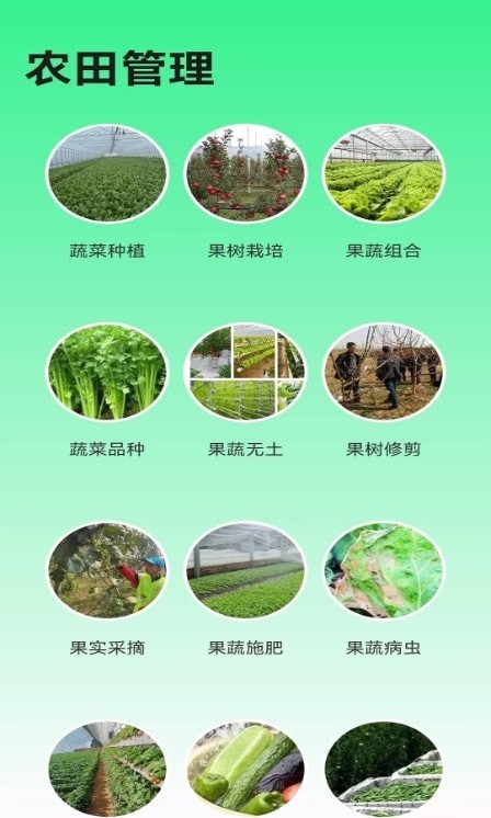 绿色农场截图1