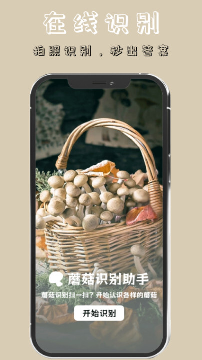 蘑菇识别高手截图1