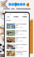 训狗教程截图1
