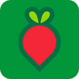 叮咚买菜app免费版