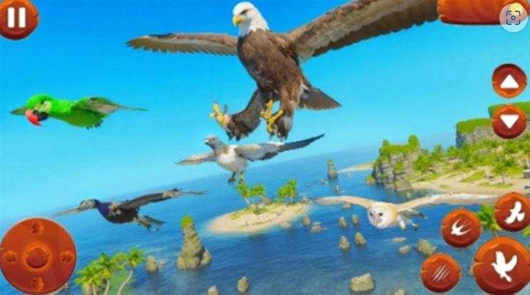 野生鸟类生活模拟器(野生鸟类生活模拟器安装器)截图1