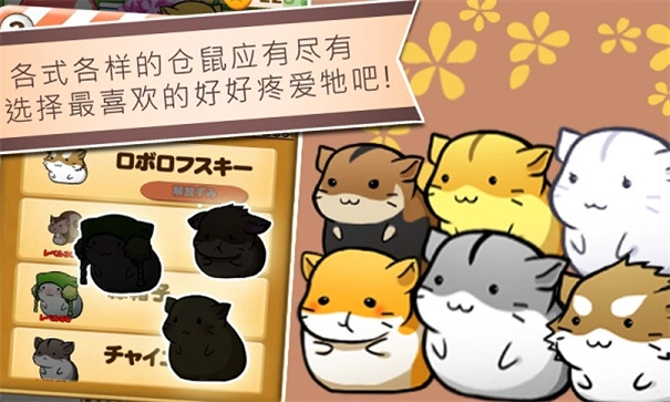 仓鼠的日常HamsterLife截图1
