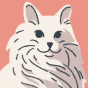 往左一点橱柜与抽屉