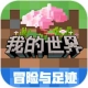 我的世界电脑版