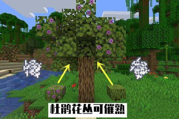 我的世界21w16a快照版截图1