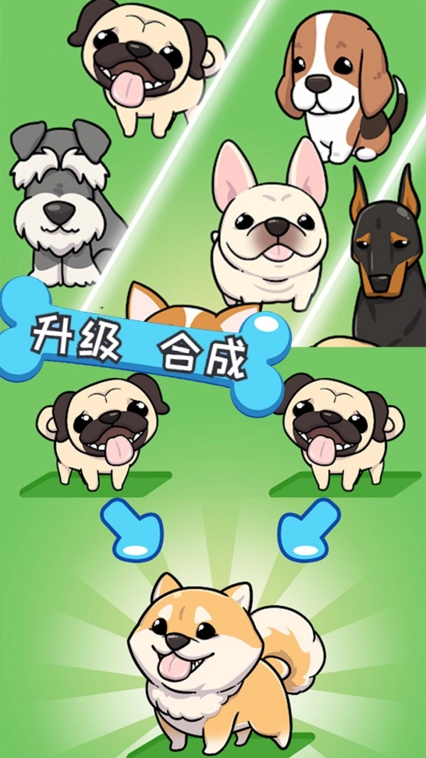 哈士奇萌宠屋截图1