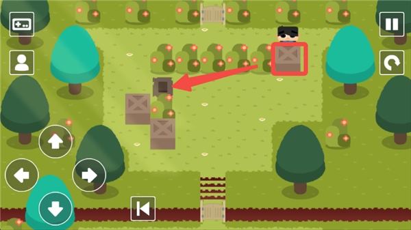 推箱子乐园DX(SKBLandDX)截图1