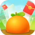 水果精英红包版