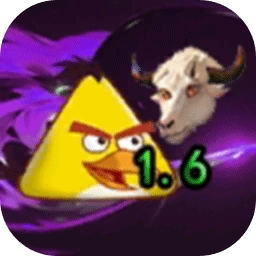 我的鸟随机游戏