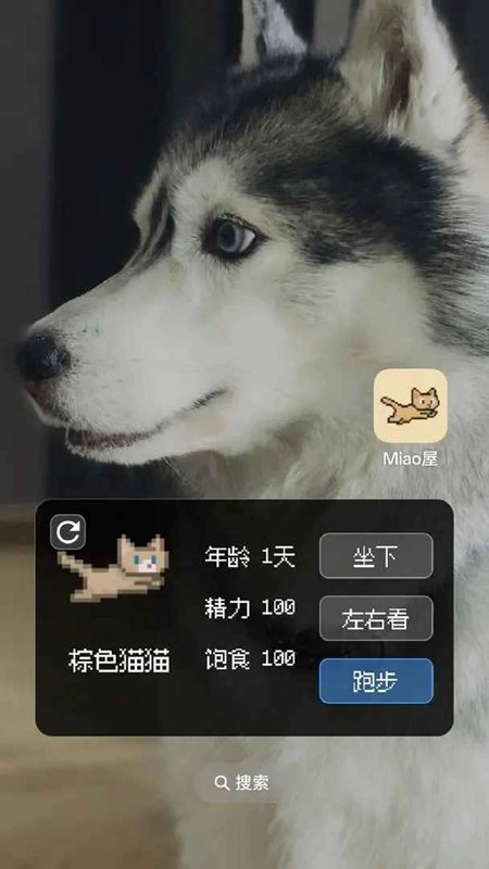 Miao屋游戏截图1