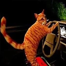 猫司机驾驶冒险
