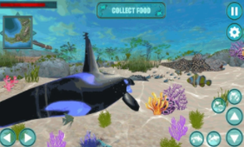 鲸鱼生存大作战截图1