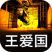 王爱国游戏
