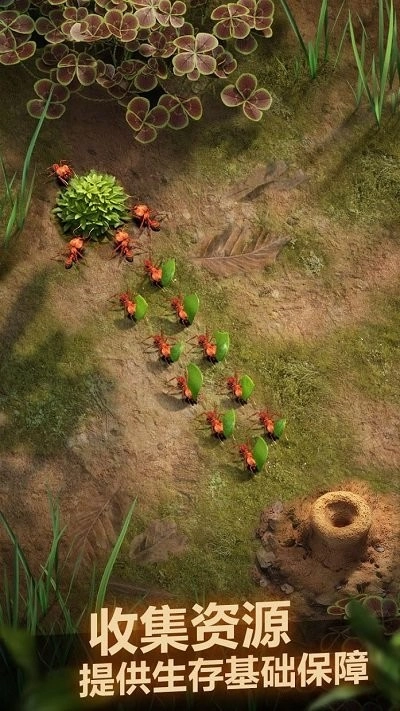 PlanetAnt游戏截图1