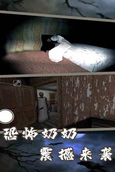 恐怖老奶奶7截图1