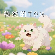愤怒的TOM游戏