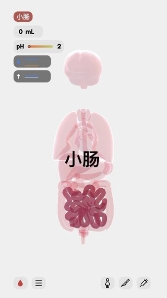 生命life安卓版截图1