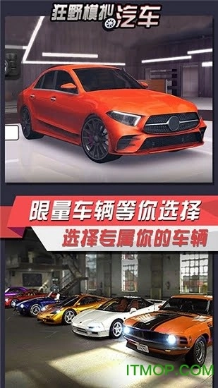 狂野模拟汽车手机版截图1
