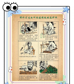 避难所游戏攻略，生存技巧分享，资源管理心得