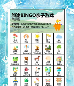 bingo游戏怎么玩，规则简单易懂，新手快速上手
