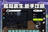 孤岛求生游戏攻略，生存技巧分享，新手快速上手