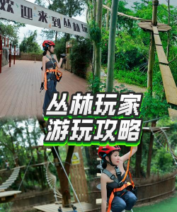 森林是什么游戏，玩法特点，适合人群