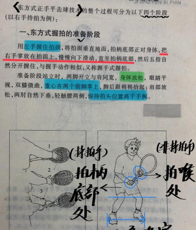 东方游戏怎么玩，新手入门指南，快速上手技巧