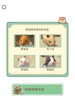 仓鼠是什么游戏，玩法简单介绍，适合哪些人玩