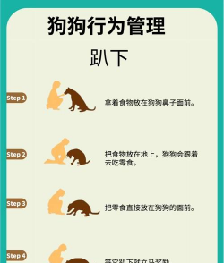 我不是狗游戏怎么玩，新手入门指南，快速上手技巧