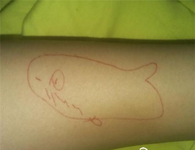 南鲸死亡游戏怎么玩，规则解析，安全提醒