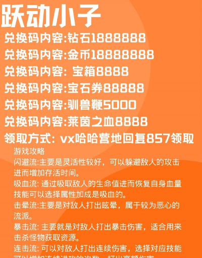什么游戏手游有兑换码，福利发放方式，常见获取途径