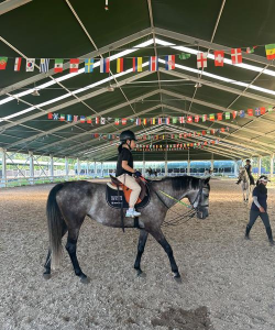 人骑着马是什么游戏，盘点热门马术模拟，体验真实骑乘乐趣