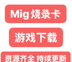烧录卡可以玩什么游戏，解锁游戏资源，了解兼容范围