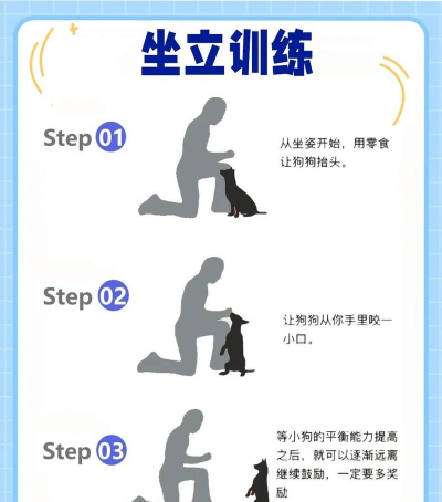 小狗狗可以玩什么游戏，趣味互动玩法，促进感情健康