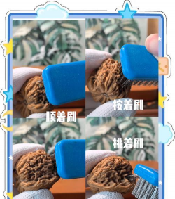 核桃游戏攻略文推荐，快速上手技巧，轻松通关秘籍