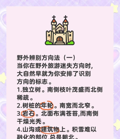 绿野仙踪游戏攻略，新手入门指南，快速上手技巧