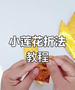 纸莲游戏攻略，新手入门技巧，快速通关方法