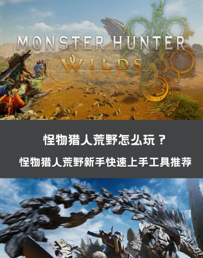 猎人荒野游戏攻略，新手入门技巧，快速上手方法