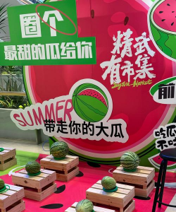 西瓜视频站立游戏怎么玩，掌握核心玩法，轻松上手体验