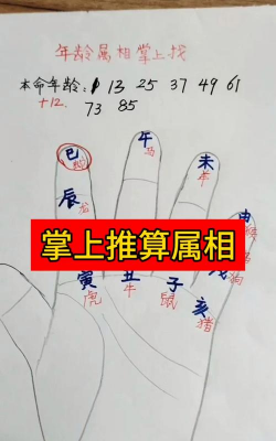 十二生肖游戏攻略，新手入门技巧，快速上手方法