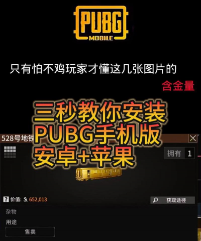 pubg国际服手游，下载安装指南，新手入门技巧