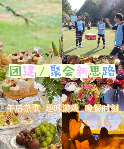 野餐必备攻略游戏推荐，轻松搞定户外聚会，玩得尽兴又省心