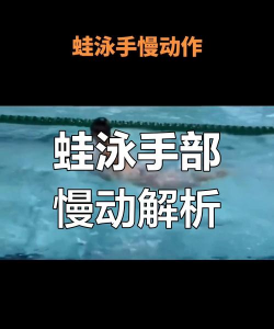 青蛙的体验游戏怎么玩，新手入门指南，轻松上手技巧