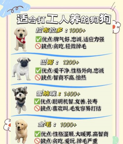 养狗攻略游戏推荐，新手入门指南，热门选择分析
